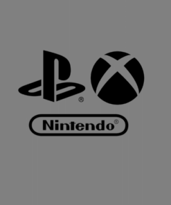 Nintendo Switch Ladebuchse Wechsel